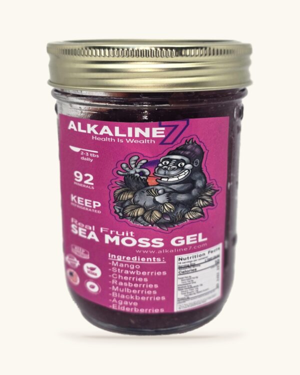 Elderberry & Mixed Berry Sea Moss Gel